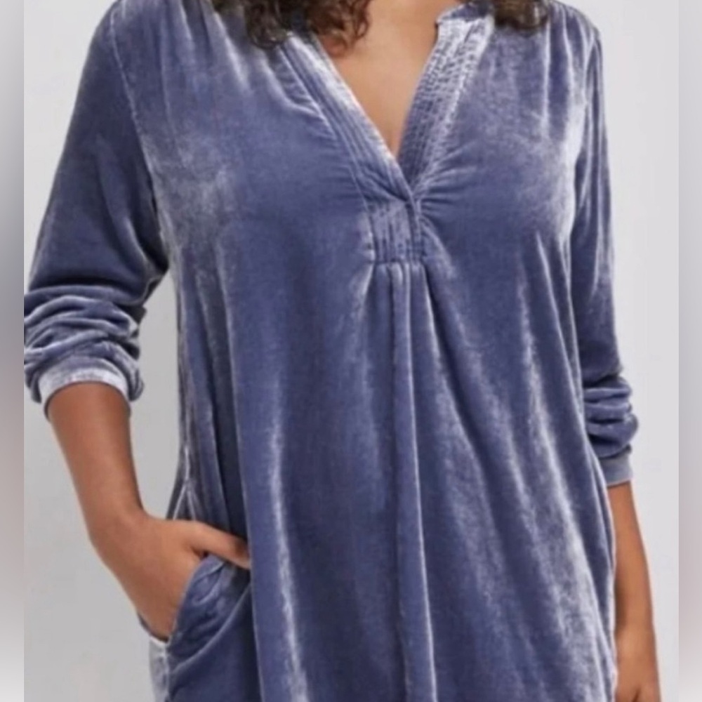 Anthropologie Slate Blue Melody Velvet Tunic Dress - Picture 2 of 14